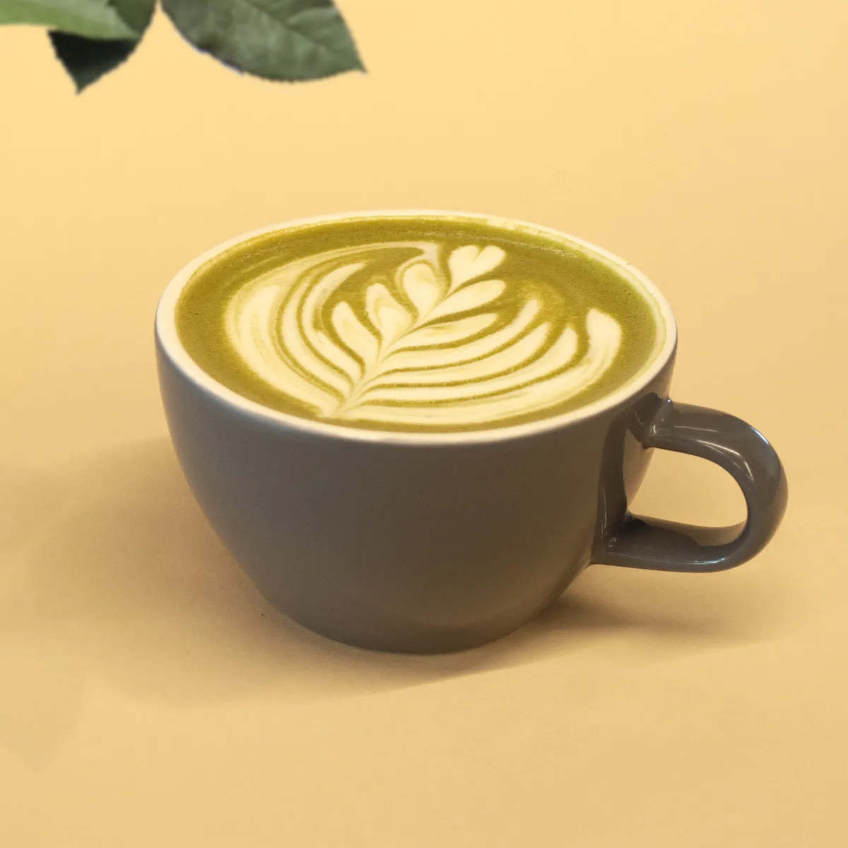 Matcha orgánico caliente